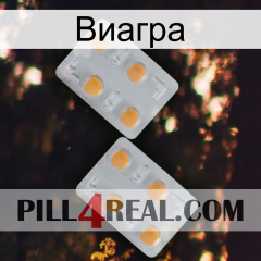 Виагра 25